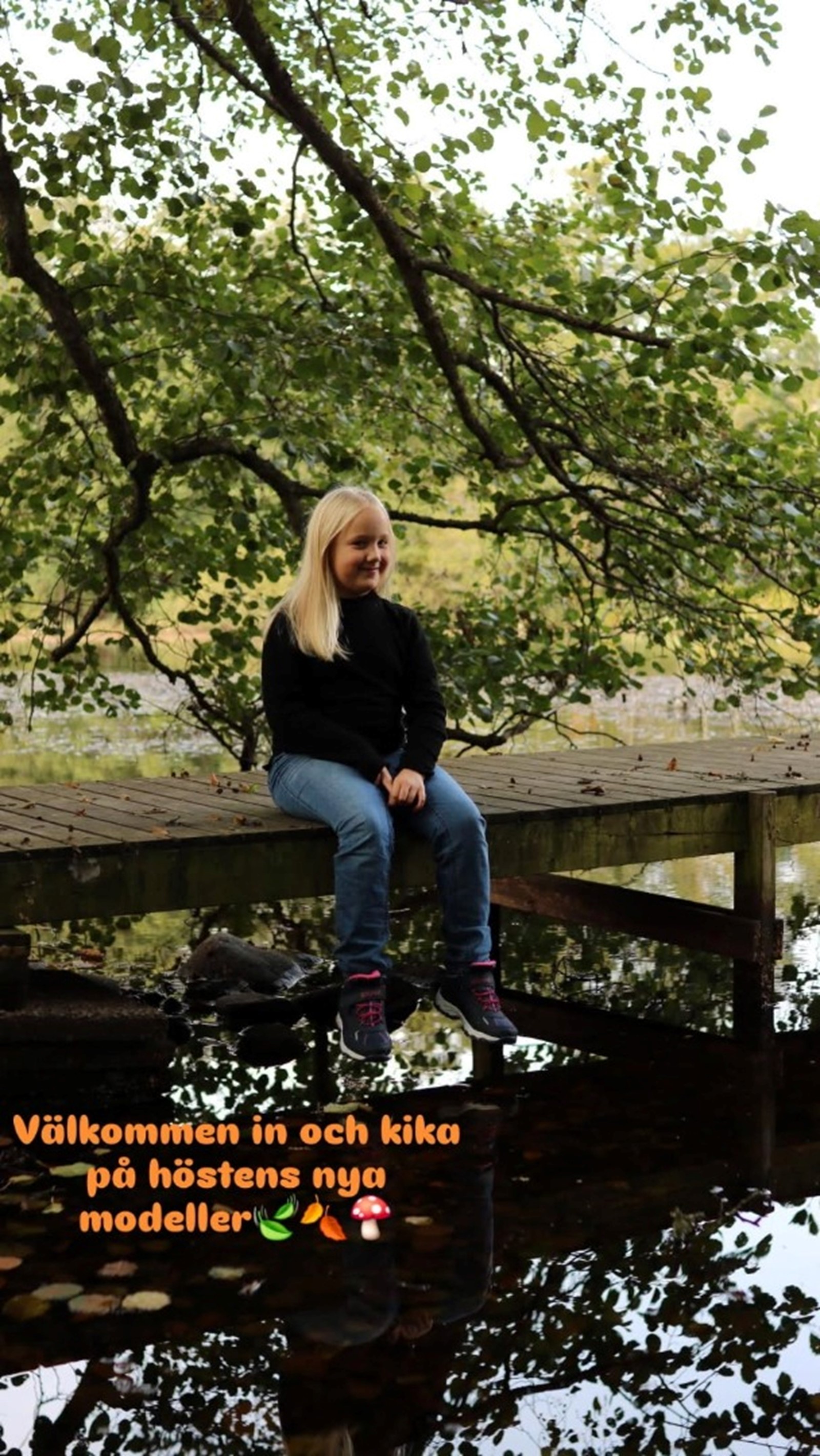 höstbild.jpg