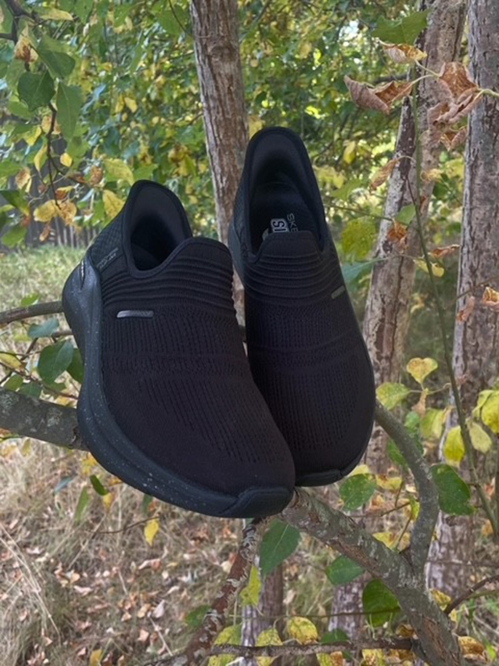 skechers.jpg